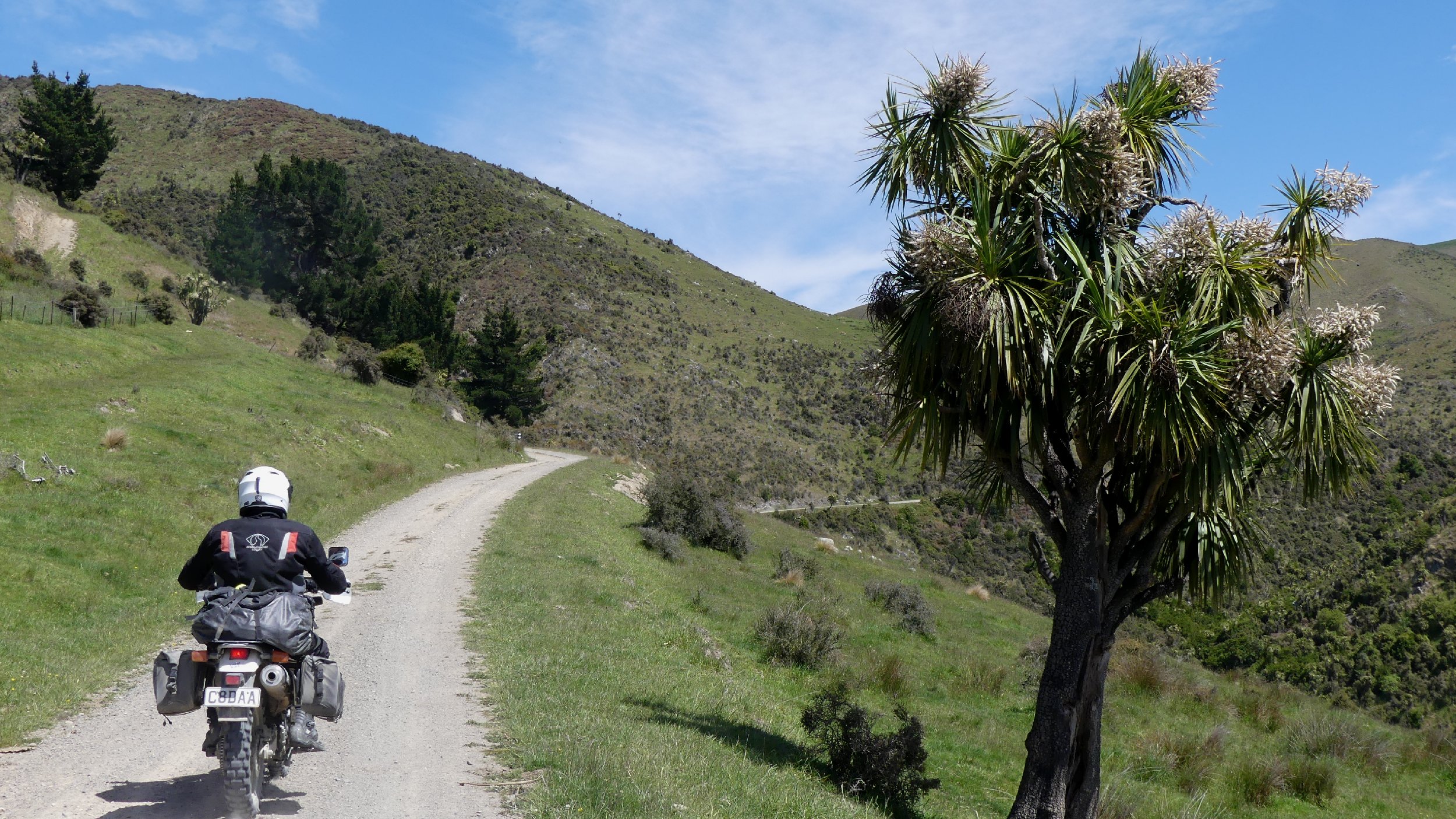 2024_NZ_SI_383.JPG