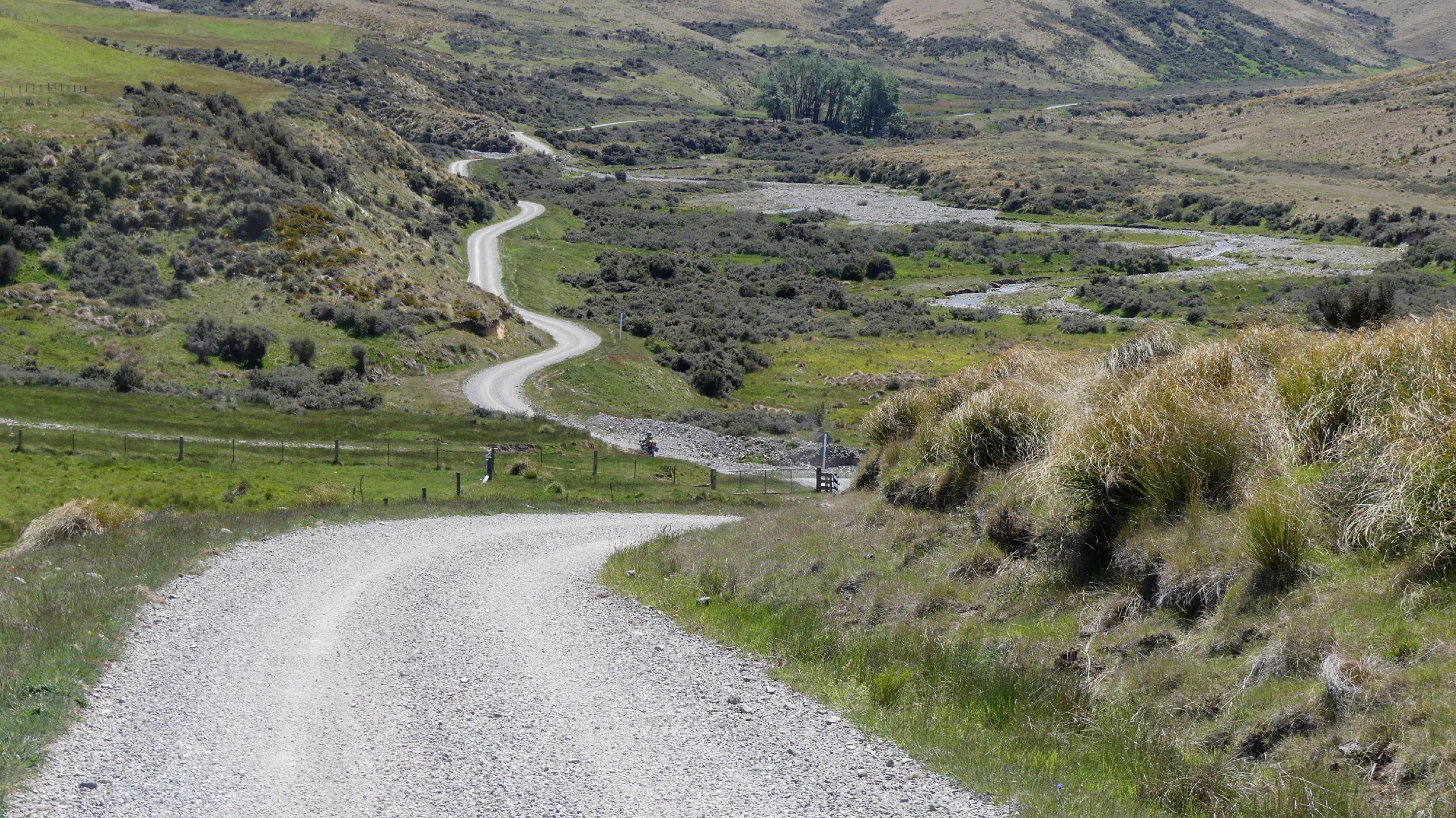 2024_NZ_SI_387.JPG