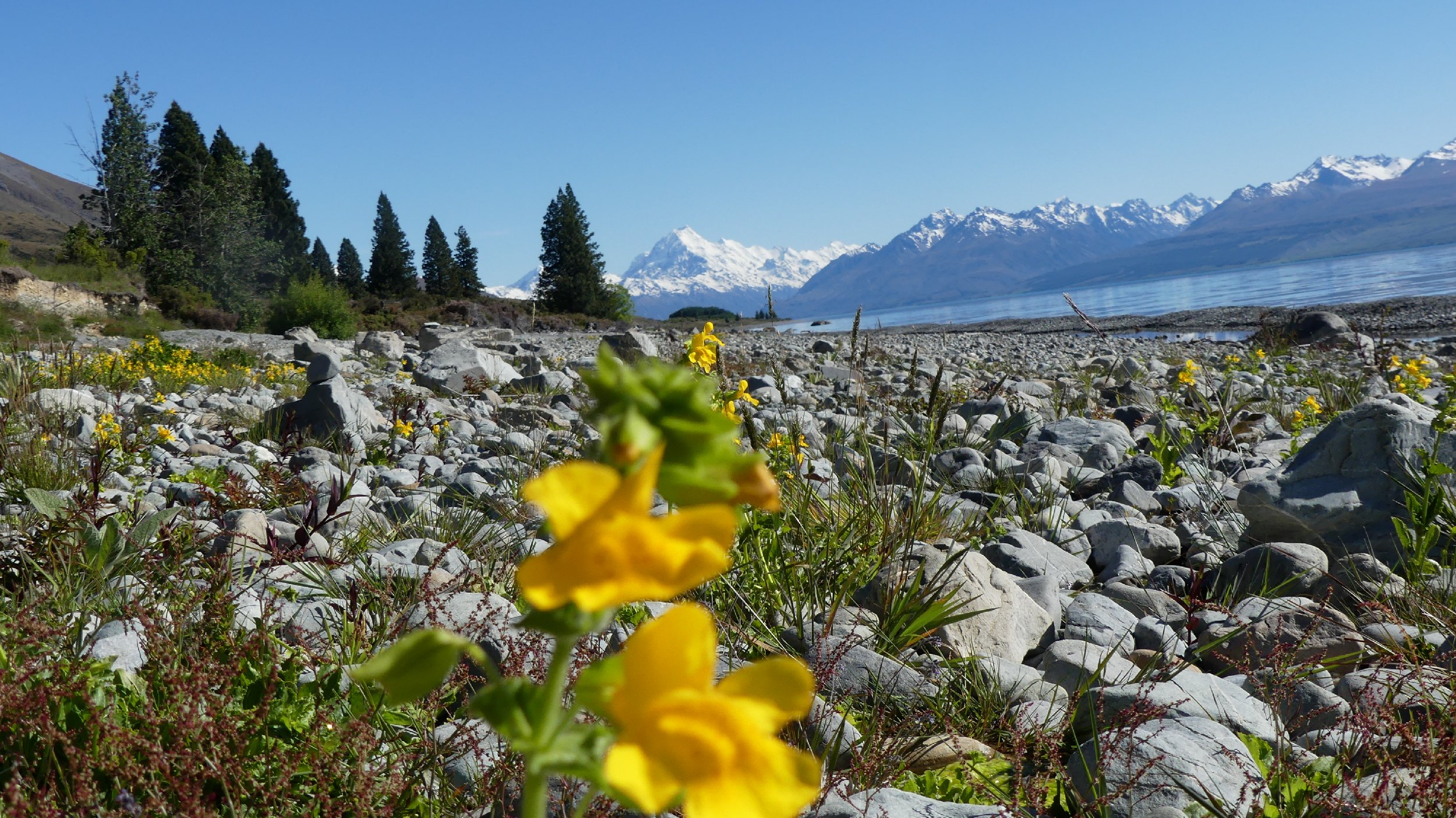 2024_NZ_SI_394.JPG