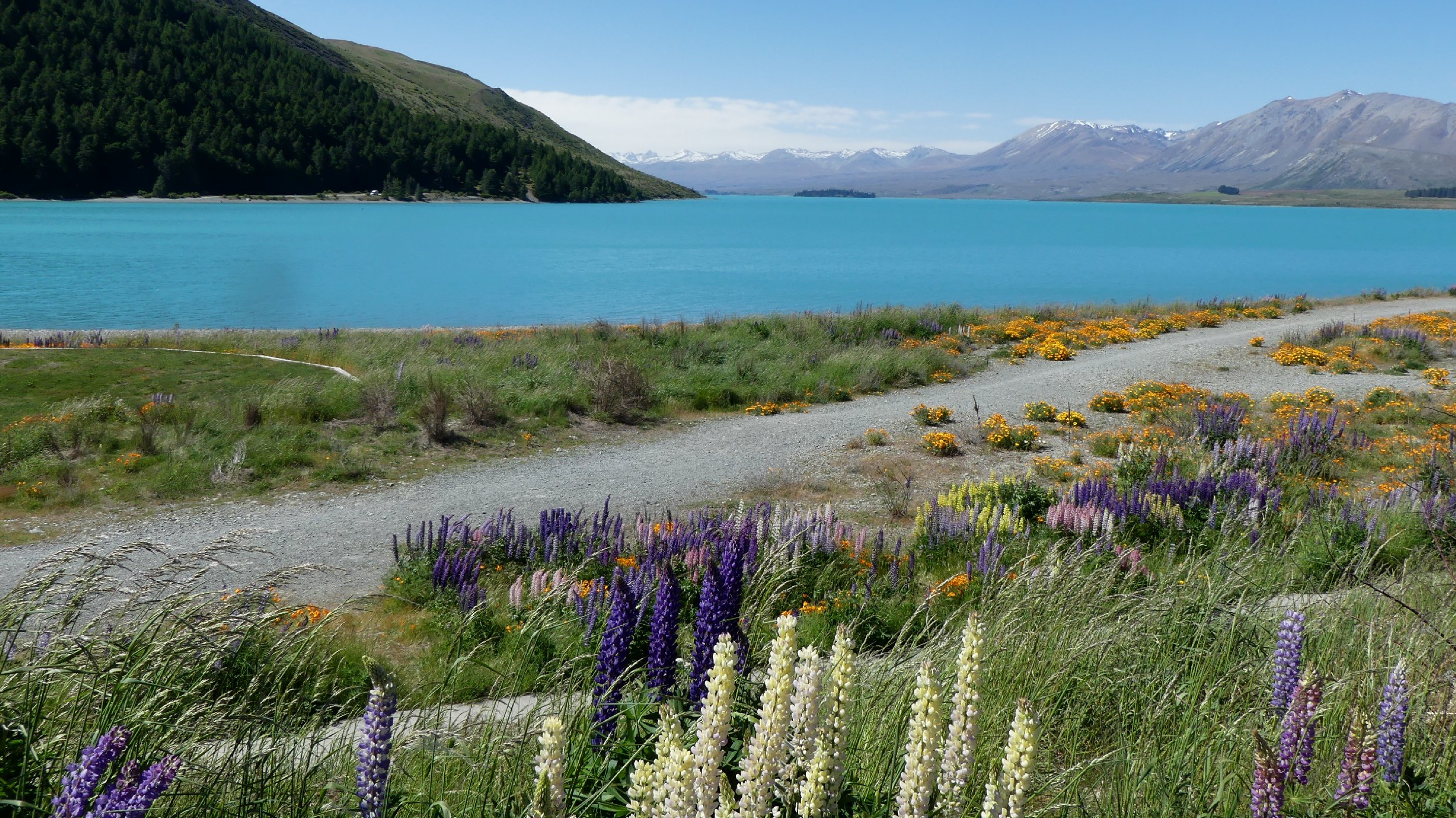 2024_NZ_SI_391.JPG