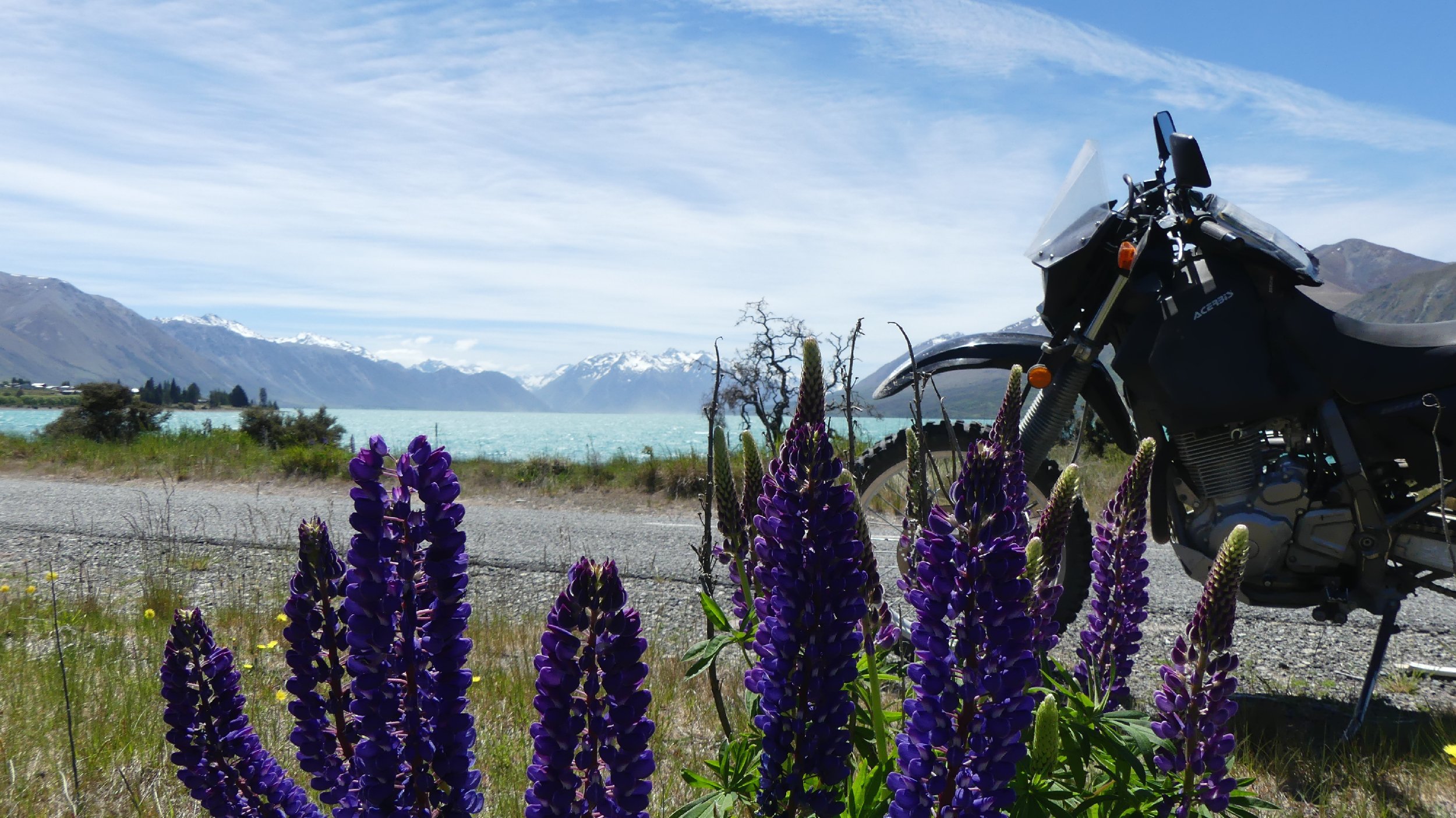 2024_NZ_SI_417.JPG