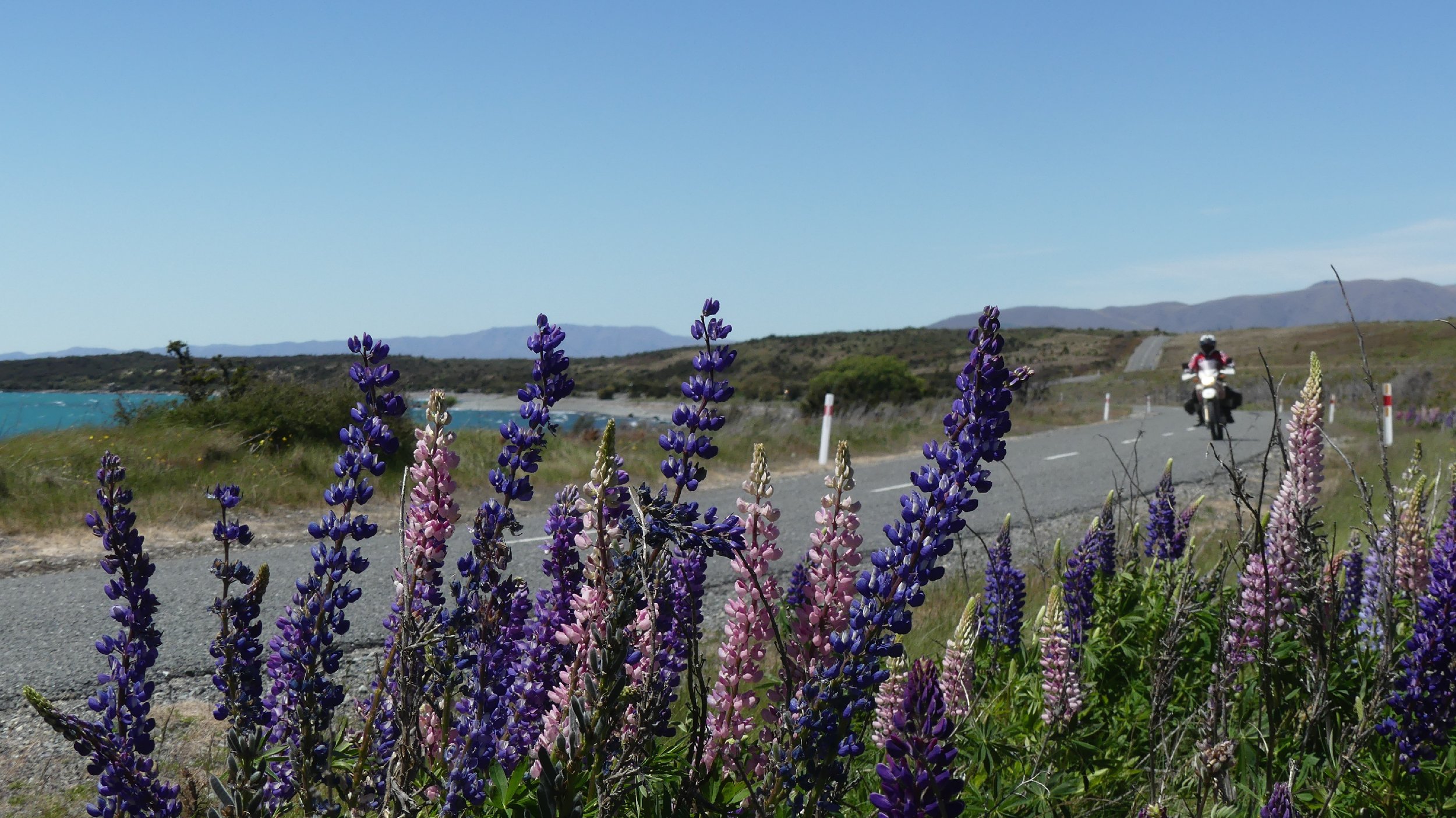 2024_NZ_SI_418.JPG