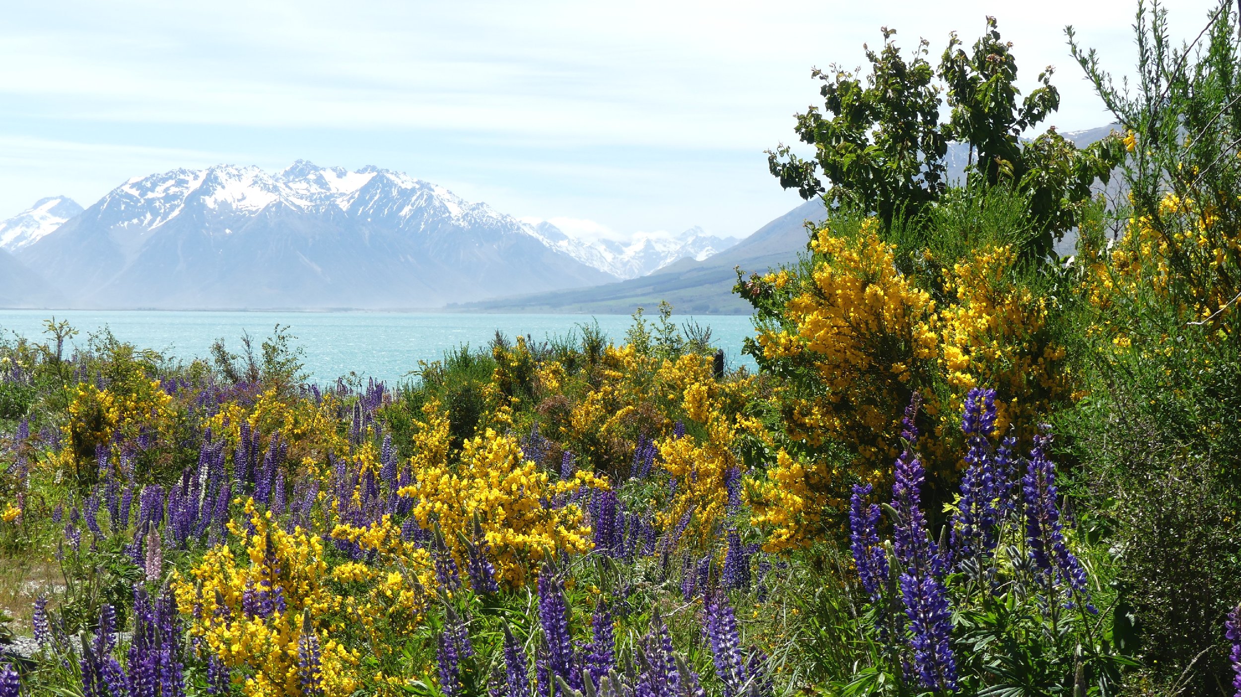 2024_NZ_SI_420.JPG