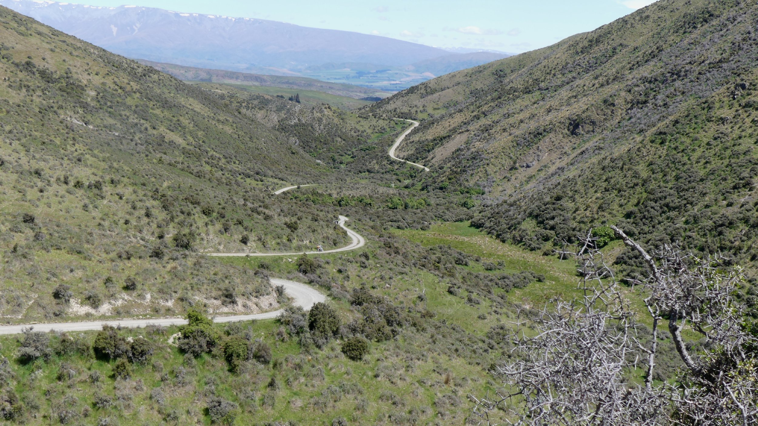 2024_NZ_SI_384.JPG